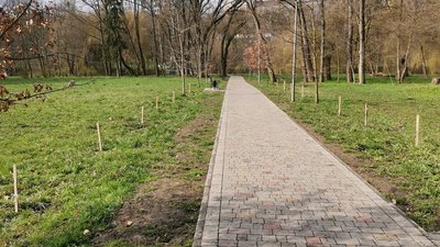 У парку в Тернополі висадили саджанці дуба Шевченка У парку в Тернополі висадили саджанці дуба Шевченка