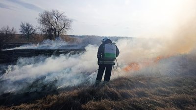 Пожежа сухої трави. Кіровоградська область, березень 2026 року