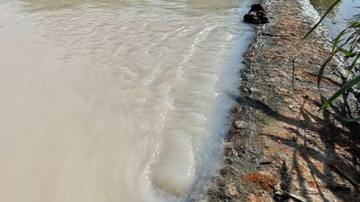 Забруднили річку стічними водами: екоінспектори у Житомирі відібрали проби на дослідження Забруднили річку стічними водами: екоінспектори у Житомирі відібрали проби на дослідження