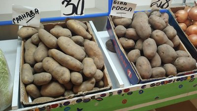 У Кропивницькому зросла ціна на картоплю. Чи прогнозують зниження У Кропивницькому зросла ціна на картоплю. Чи прогнозують зниження