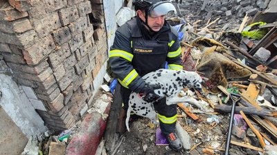 Рятувальники у Добропіллі дістали собаку з-під завалів
