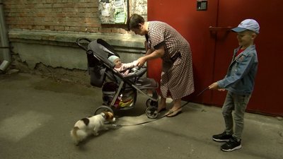 Переселенці з Бахмута оселились на Волині: перевели двох котів та собаку Переселенці з Бахмута оселились на Волині: перевели двох котів та собаку