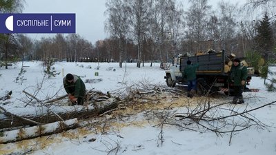160 населених пунктів без електрики, повалені дерева і ускладнений рух: наслідки вітру на Сумщині 160 населених пунктів без електрики, повалені дерева і ускладнений рух: наслідки вітру на Сумщині