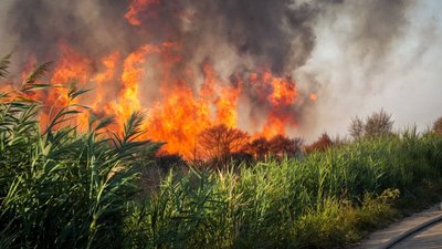 Загоряння очерету на площі 9 Га в Пересипському районі Одеси