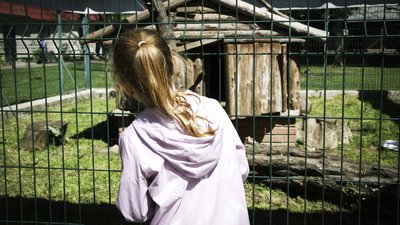 Одеські зоозахисники врятували та передали до зоопарку єнота-полоскуна Сєню Одеські зоозахисники врятували та передали до зоопарку єнота-полоскуна Сєню
