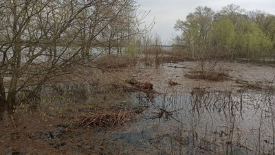 Затоплені пляжі, пасовища, дороги й дачні будинки: наслідки паводка у двох громадах Кіровоградщини Затоплені пляжі, пасовища, дороги й дачні будинки: наслідки паводка у двох громадах Кіровоградщини