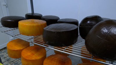 Тверді сири на сироварні у Кудрівці, що на Чернігівщині Тверді сири на сироварні у Кудрівці, що на Чернігівщині