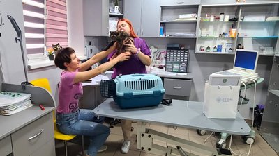 Українська благодійна ветеринарна клініка
