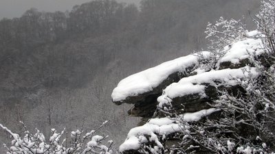 Засніжені краєвиди Дністровських схилів: працівник природного парку опублікував мальовничі світлини Засніжені краєвиди Дністровських схилів: працівник природного парку опублікував мальовничі світлини