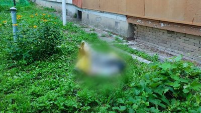 трирічний хлопчик випав з вікна у салтівському районі Харкова