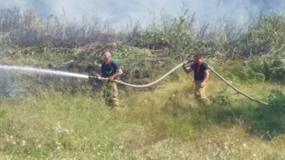 У передмісті Херсона спалахнув очерет, вогонь підійшов впритул до будинків (ОНОВЛЕНО)