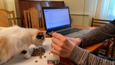 Як зрозуміти кота: львівські студенти розробляють розумний нашийник Як зрозуміти кота: львівські студенти розробляють розумний нашийник