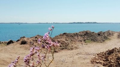 На Миколаївщині юні археологи відкопали амулет, якому понад 2 000 років