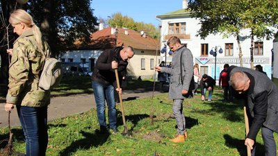 У Дрогобичі на Львівщині висадили Алею пам'яті загиблим ветеранкам