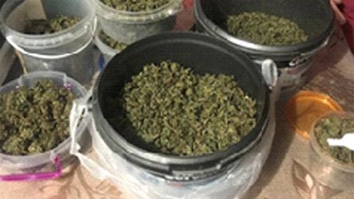 У жителя Черкас правоохоронці знайшли майже пів кілограма канабісу