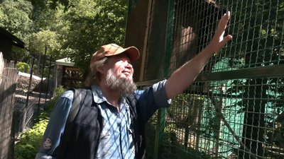 До Рівного з екопарку Харківщини евакуювали рідкісних приматів До Рівного з екопарку Харківщини евакуювали рідкісних приматів