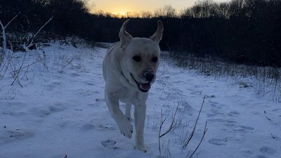 Сніг, Подільськ, Одещина, перший сніг