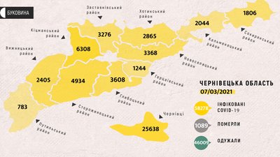 COVID-19 на Буковині: за добу ушпиталили понад 80 людей, дванадцять — померли COVID-19 на Буковині: за добу ушпиталили понад 80 людей, дванадцять — померли