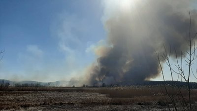 Спалювання сухостою на Черкащині призвело до понад сотні пожеж — ДСНС