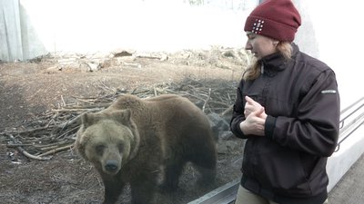 На два тижні раніше: у Черкаському зоопарку прокинулися ведмеді
