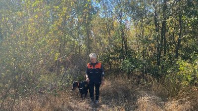 На Запоріжжі за допомогою рятувальних собак знайшли тіло чоловіка