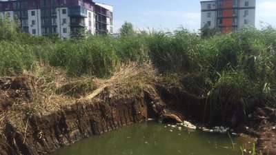 У Рівному сфотографували трубу, яка веде в озеро Басів Кут. Чия вона