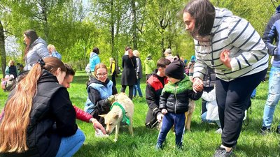 У Сумах відбувся фестиваль "Друг із притулку" У Сумах відбувся фестиваль "Друг із притулку"