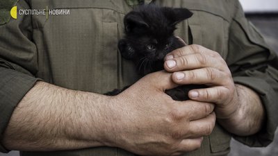 Війна й коти: евакуація тварин із колонії з-під Мар’їнки. Фоторепортаж Війна й коти: евакуація тварин із колонії з-під Мар’їнки. Фоторепортаж