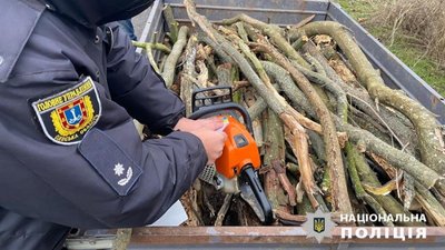 На Одещині судили чоловіка за вирубку дерев з нацпарку "Тузлівські лимани"