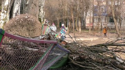 В одному з дитсадків Херсона дерево впало на дорогу, якою щоранку діти йдуть на заняття