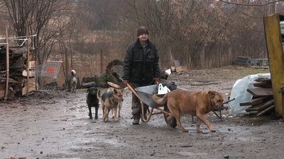 "Взяли місто на свої плечі". Волонтери "Дому Сірка" у Калуші просять про допомогу "Взяли місто на свої плечі". Волонтери "Дому Сірка" у Калуші просять про допомогу