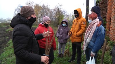 На Житомирщині школярі вирощують саджанці для продажу На Житомирщині школярі вирощують саджанці для продажу