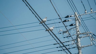 На Волині водій врізався в електроопору: травмувалася пасажирка