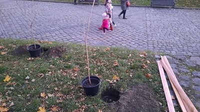 У Львові відбулася акція проти насильства — "Не ламай калину" У Львові відбулася акція проти насильства — "Не ламай калину"