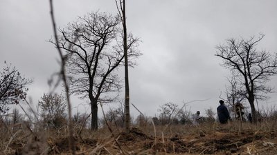 Миколаївська міськрада виділила більше 4 млн грн на річний догляд за парком "Дружба"