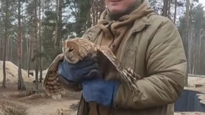 сова, поліцейський