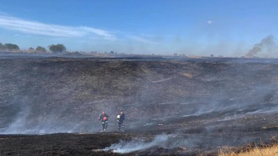 На полях з врожаєм у Миколаївській області сталися 36 пожеж — ДСНС