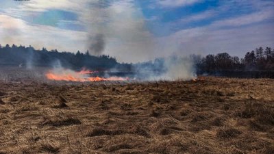 Продовжують палити суху траву: на Черкащині за добу сталися 5 пожеж на відкритих територіях Продовжують палити суху траву: на Черкащині за добу сталися 5 пожеж на відкритих територіях