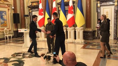 Пес Патрон отримав нагороду від Зеленського Пес Патрон отримав нагороду від Зеленського