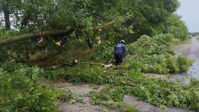 Підтоплення та повалені дерева. Наслідки негоди на Вінниччині