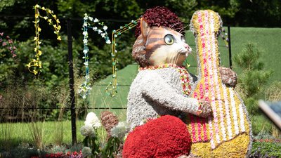 Квіткова виставка «Муркотлива Україна»