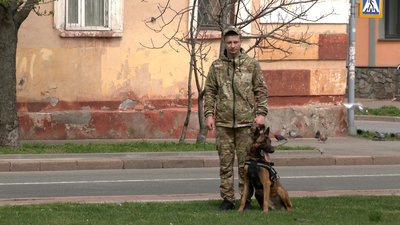 Шукатимуть наркотики, вибухівку та людей: у Чернігові кінологічний центр Нацполіції взяв 6 цуценят на навчання Шукатимуть наркотики, вибухівку та людей: у Чернігові кінологічний центр Нацполіції взяв 6 цуценят на навчання