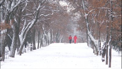 За прогнозами синоптиків, на Миколаївщині сніжитиме протягом декількох наступних днів За прогнозами синоптиків, на Миколаївщині сніжитиме протягом декількох наступних днів