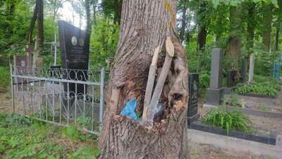 Понад 40 дерев планують зрізати на території Польського цвинтаря у Житомирі – чи вплине це на екосистему Понад 40 дерев планують зрізати на території Польського цвинтаря у Житомирі – чи вплине це на екосистему