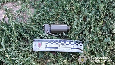 Бойова граната, яку вилучили у 33-річного жителя Квасилова