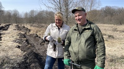 На Полтавщині висаджують мішаний ліс: на якій площі з’явиться
