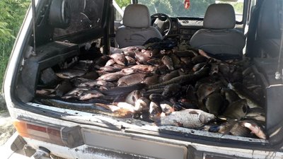На Сумщині поліцейські вилучили у чоловіка чверть тонни риби