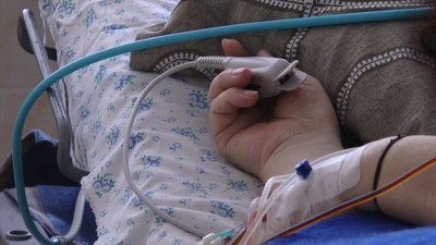 За добу на Миколаївщині зафіксовано 461 новий випадок захворювання на COVID-19