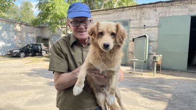 У музеї в Дніпрі живе пухнастий "працівник" пес Рудольф У музеї в Дніпрі живе пухнастий "працівник" пес Рудольф