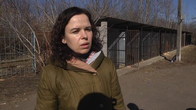 У Житомирі забезпечать кормом для тварин тих, хто підгодовує бездомних котів та собак У Житомирі забезпечать кормом для тварин тих, хто підгодовує бездомних котів та собак